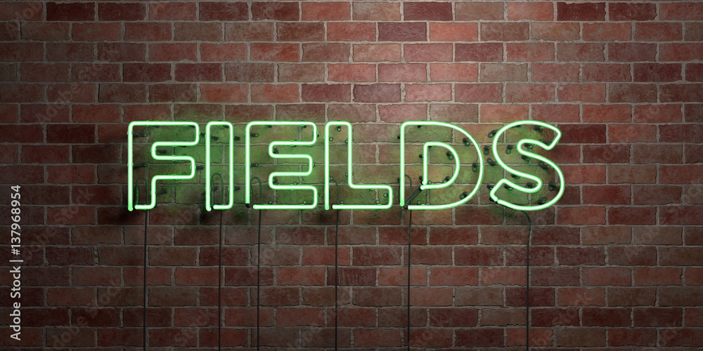 Obraz premium FIELDS - fluorescent Neon tube Sign on brickwork - Front view - 3D rendered royalty free stock picture. Can be used for online banner ads and direct mailers..