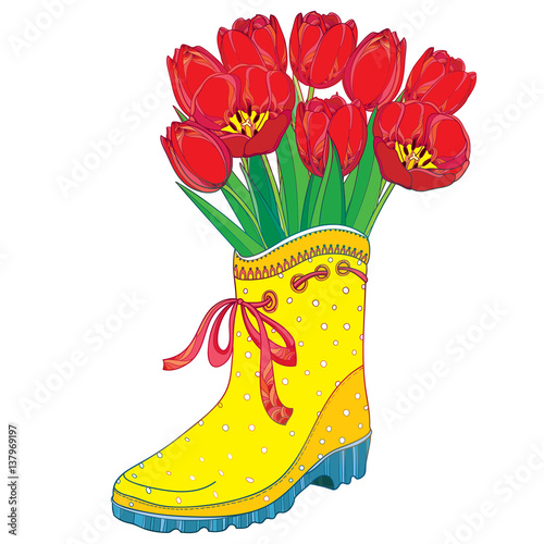Vector bouquet with red tulips flower and green leaves in yellow rubber boot with bow isolated on white background. Ornate floral elements in contour style with tulip and gumboot for spring design.