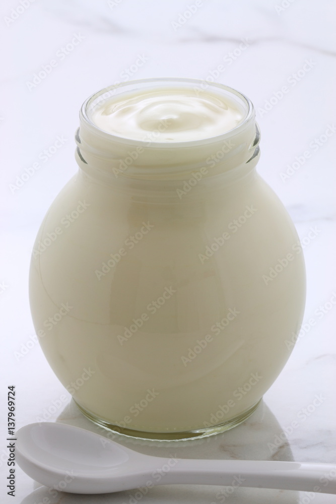 plain french style yogurt plain french style yogurt
