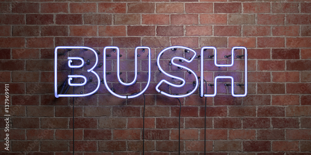 BUSH - fluorescent Neon tube Sign on brickwork - Front view - 3D rendered royalty free stock picture. Can be used for online banner ads and direct mailers..