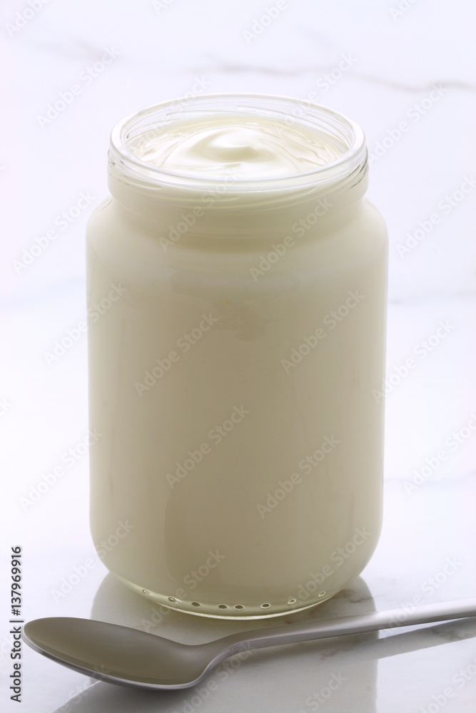 plain french style yogurt plain french style yogurt