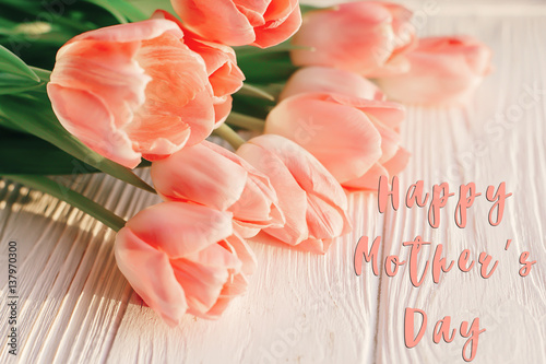 happy mother s day text sign on pink tulips on white rustic wooden background. greeting card concept. sensual tender women image. spring flowers in soft morning sunlight