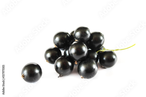 Large ripe berries of black currant