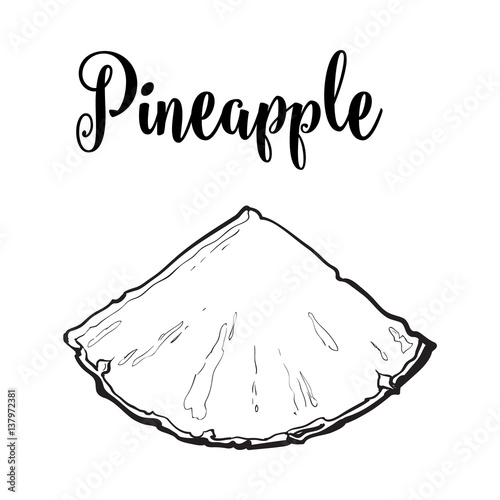 Unpeeled pineapplewedge, triangular slice, sifde view, sketch style vector illustration isolated on white background. Realistic hand drawing of fresh, ripe pineapple wedge or slice