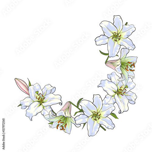 Half round frame of white lily flowers  decoration element  sketch vector illustration isolated on white background. Hand drawn white lily flowers as half round frame  banner  postcard design