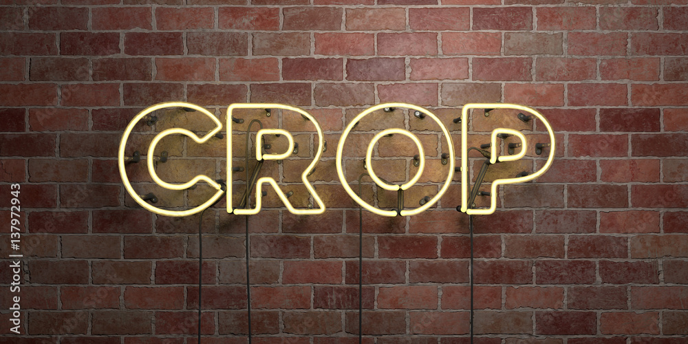 Fototapeta premium CROP - fluorescent Neon tube Sign on brickwork - Front view - 3D rendered royalty free stock picture. Can be used for online banner ads and direct mailers..