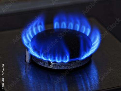 Flames of blue gas. Close up burning fire ring from a kitchen gas stove.