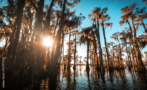 Banks Lake is natural  sink of ancient geologic origin. The refuge contains a variety of habitat types including 1 000 acres of marsh  1 644 acres of cypress swamp  900 acres of open water.