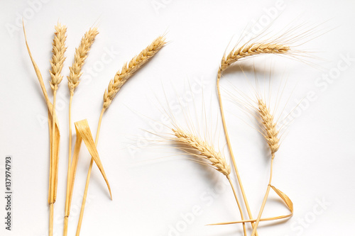 Soft and hard wheat composition on white cardboard, close up