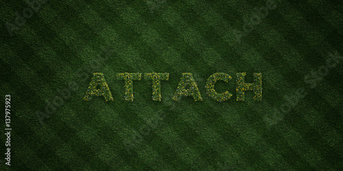 ATTACH - fresh Grass letters with flowers and dandelions - 3D rendered royalty free stock image. Can be used for online banner ads and direct mailers..