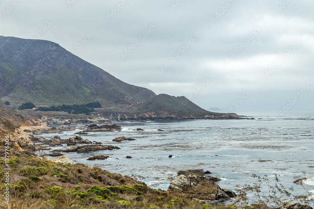 Pacific Coast Highway View