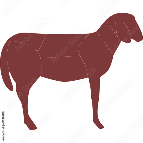 tagli agnello