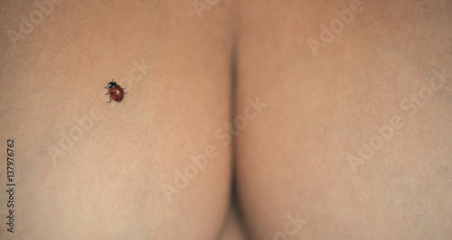 Ladybug on a woman's breast