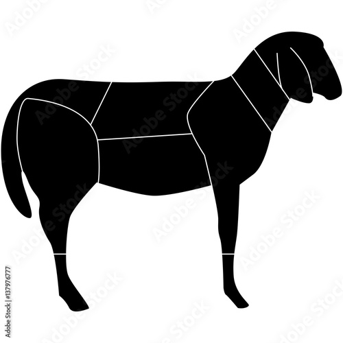 tagli agnello