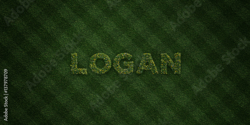 LOGAN - fresh Grass letters with flowers and dandelions - 3D rendered royalty free stock image. Can be used for online banner ads and direct mailers..