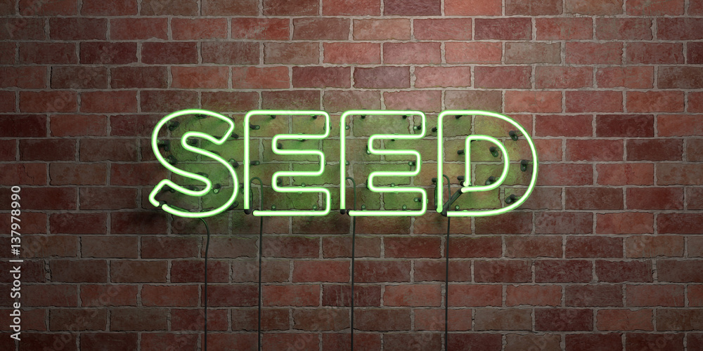 SEED - fluorescent Neon tube Sign on brickwork - Front view - 3D rendered royalty free stock picture. Can be used for online banner ads and direct mailers.. SEED - fluorescent Neon tube Sign on brickwork - Front view - 3D rendered royalty free stock picture. Can be used for online banner ads and direct mailers..