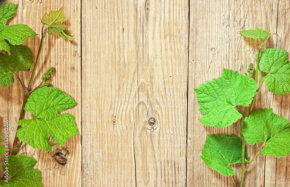 grapevine on a wooden background grapevine on a wooden background