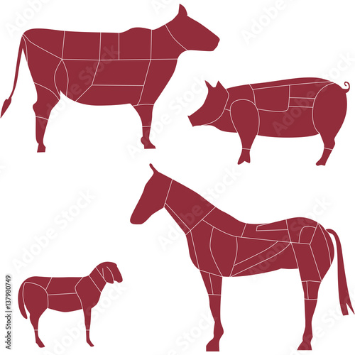tagli di carne