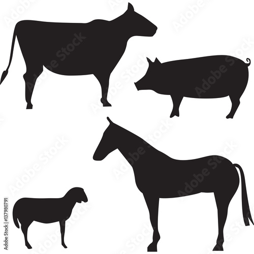 tagli di carne