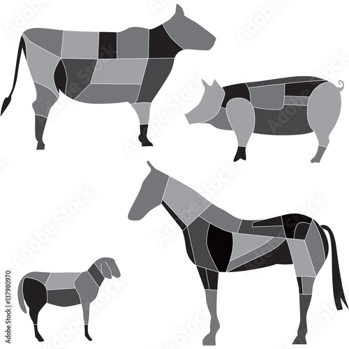 tagli di carne