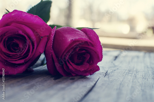 Pink rose flwers lay on the wood with sunlight in the background photo