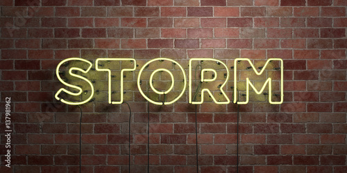 STORM - fluorescent Neon tube Sign on brickwork - Front view - 3D rendered royalty free stock picture. Can be used for online banner ads and direct mailers..