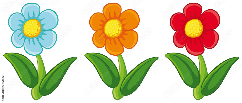 Drei niedliche Frühlingsblumen Vektor-Illustration