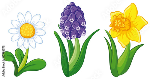 Drei Frühlingsblumen Vektor-Illustration