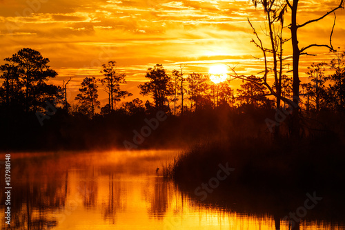 Foto Long Lens Sunrise on the Ochlocknee River