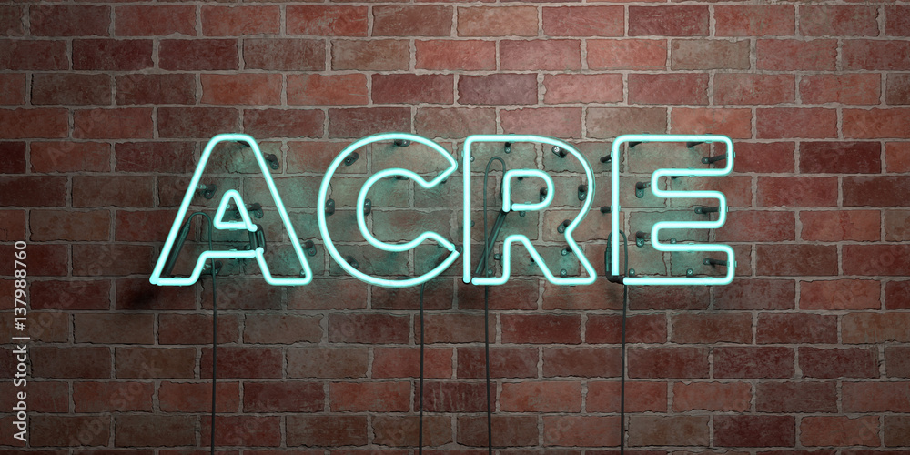 ACRE - fluorescent Neon tube Sign on brickwork - Front view - 3D rendered royalty free stock picture. Can be used for online banner ads and direct mailers.. ACRE - fluorescent Neon tube Sign on brickwork - Front view - 3D rendered royalty free stock picture. Can be used for online banner ads and direct mailers..