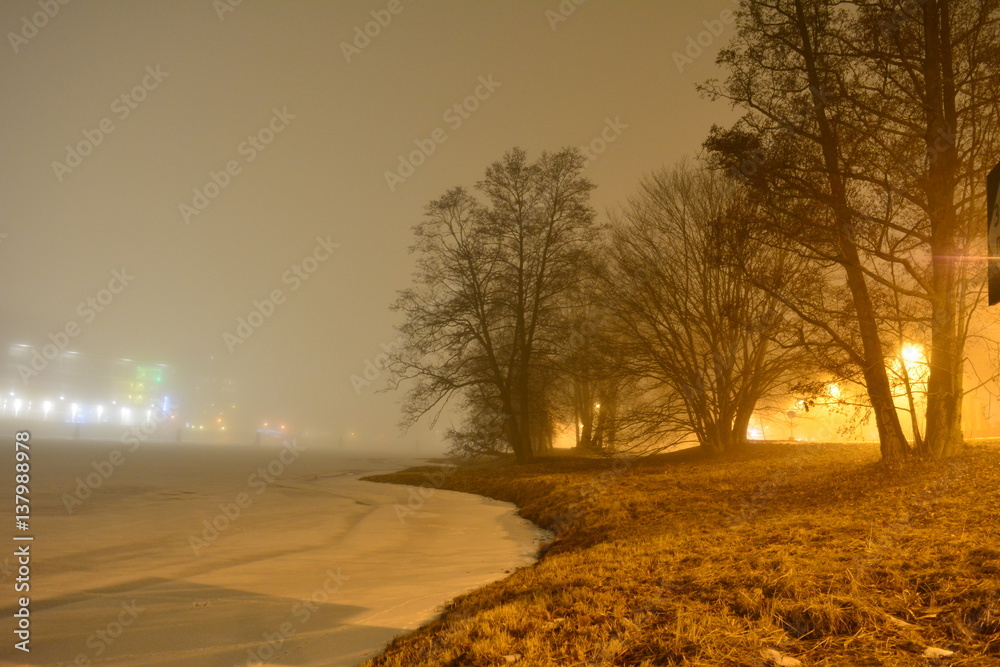 Fototapeta premium foggy