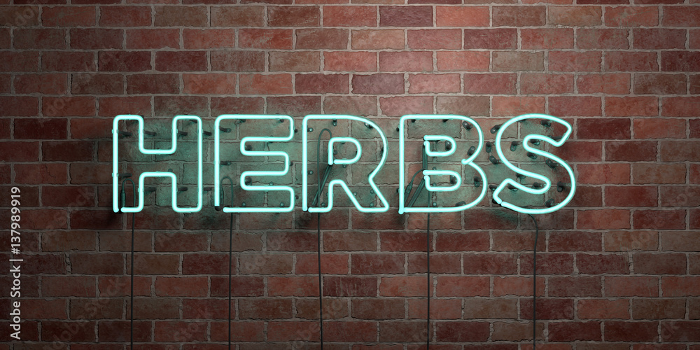 HERBS - fluorescent Neon tube Sign on brickwork - Front view - 3D rendered royalty free stock picture. Can be used for online banner ads and direct mailers.. HERBS - fluorescent Neon tube Sign on brickwork - Front view - 3D rendered royalty free stock picture. Can be used for online banner ads and direct mailers..