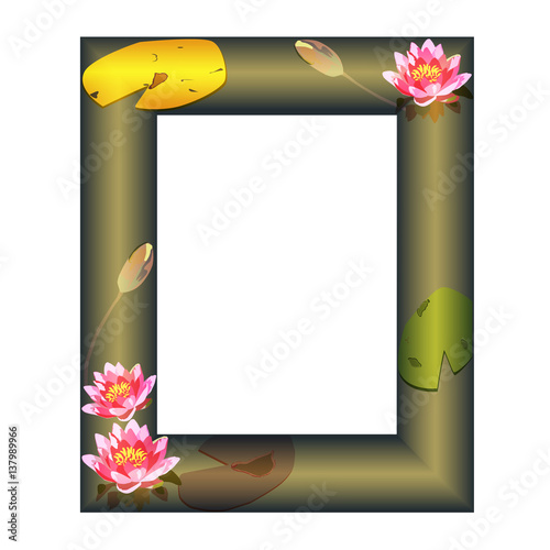 Frame with flowers of a water-lily