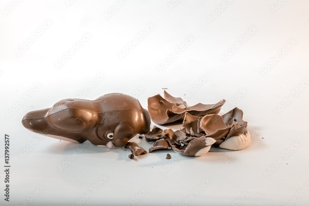 Broken chocolate Easter Bunny fallen smashed in pieces against a white backdrop floor