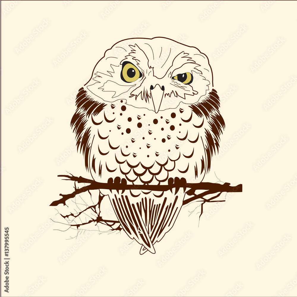 Fototapeta premium Hand drawn black white illustration owl fly bird. Art Coloring book owl .