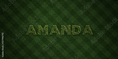 AMANDA - fresh Grass letters with flowers and dandelions - 3D rendered royalty free stock image. Can be used for online banner ads and direct mailers.. photo