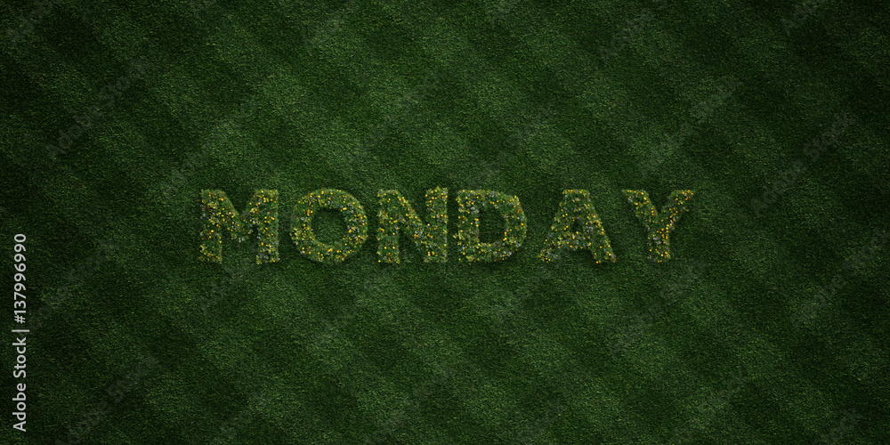 MONDAY - fresh Grass letters with flowers and dandelions - 3D rendered royalty free stock image. Can be used for online banner ads and direct mailers.. MONDAY - fresh Grass letters with flowers and dandelions - 3D rendered royalty free stock image. Can be used for online banner ads and direct mailers..