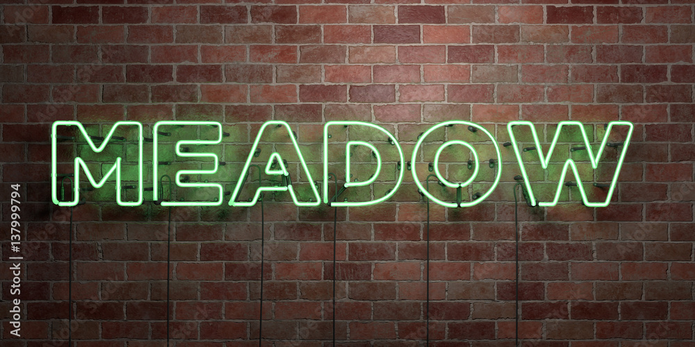 MEADOW - fluorescent Neon tube Sign on brickwork - Front view - 3D rendered royalty free stock picture. Can be used for online banner ads and direct mailers.. MEADOW - fluorescent Neon tube Sign on brickwork - Front view - 3D rendered royalty free stock picture. Can be used for online banner ads and direct mailers..