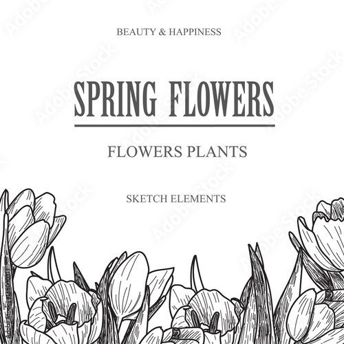 Vector design banner for flower shop and floristic shop with hand drawn flowers illustration. Vintage bouquet sketch background