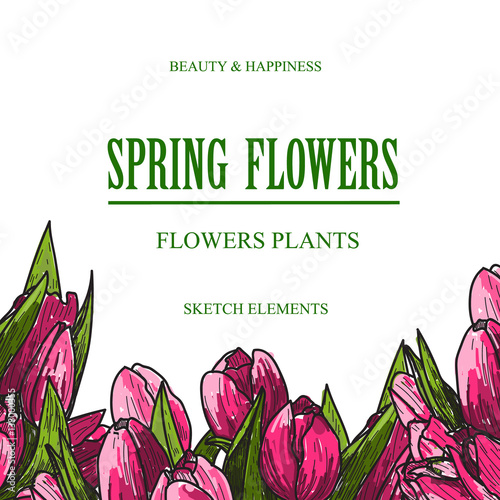 Vector design banner for flower shop and floristic shop with hand drawn flowers illustration. Vintage bouquet sketch background