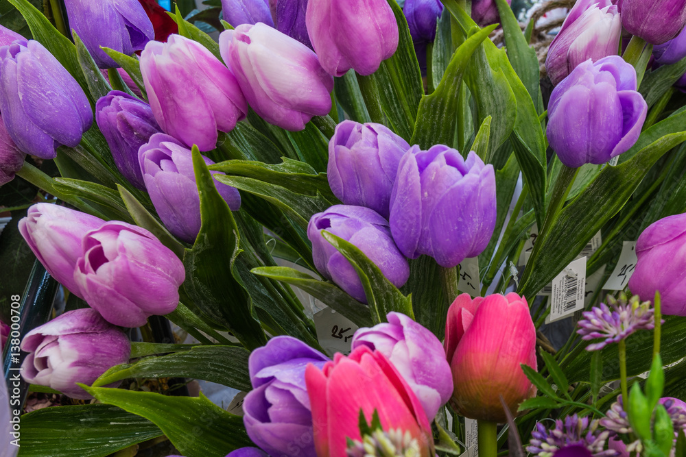 Obraz premium Beautiful floral decorations
