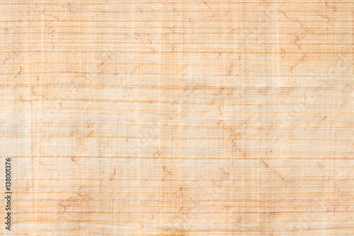 Papyrus paper texture 