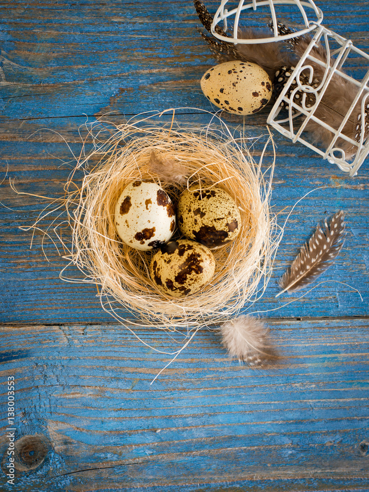 quail eggs on a blue wooden background quail eggs on a blue wooden background
