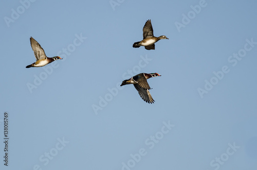 Wood Ducks Flying in a Blue Sky © rck