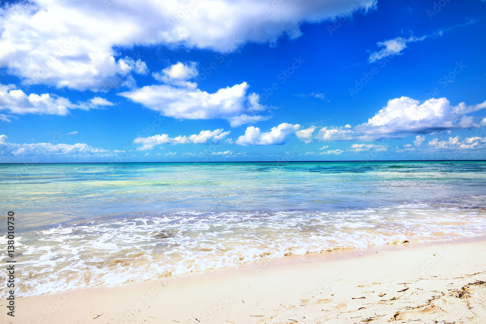 Fototapeta premium Caribbean sea. Tropical, exotic water landscape. Topical paradise. Ocean nature. Saona Island. Domincan Republic