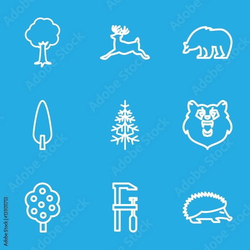 Set of 9 forest outline icons