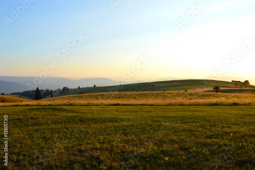 Natural field landscape with grass © BetiBup33