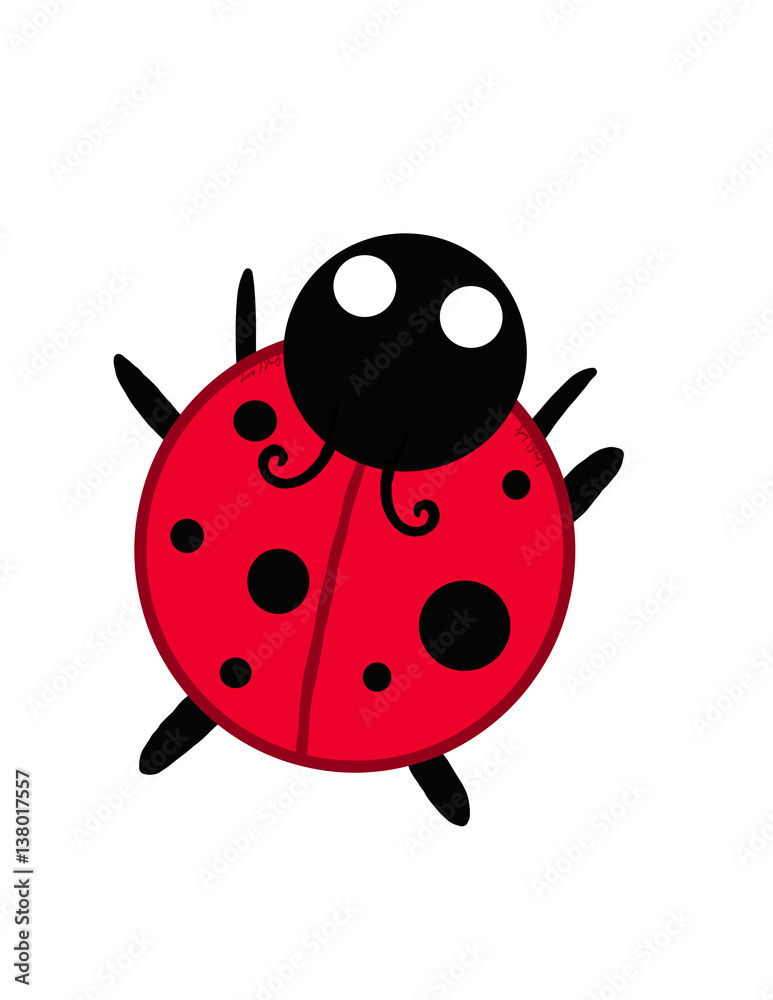 Lady Bug Lady Bug