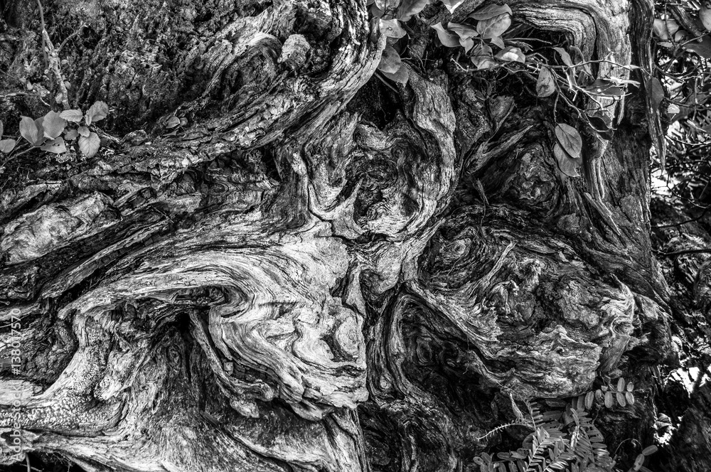 Abstract Abstract