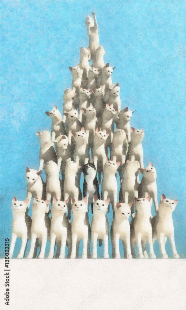 Obraz premium 고양이